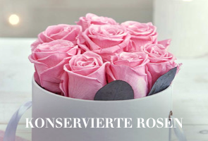 Konservierte Rosen