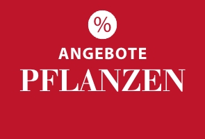 Angebote Pflanzen