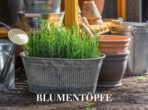 Blumentöpfe