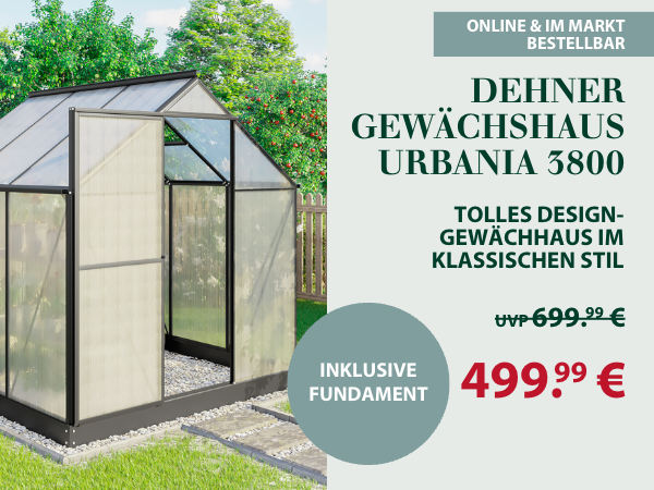 Dehner Gewächshaus Urbania