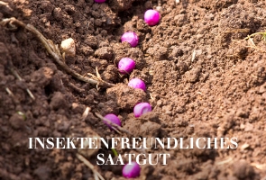 Insektenfreundliches Saatgut