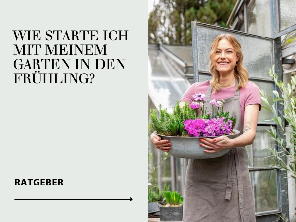 Ratgeber Frühlingsgarten