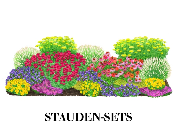 Stauden-Sets