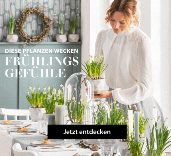 Frühlingsboten: Große Vielfalt
