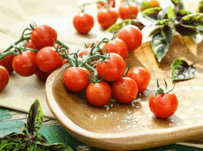 Tomatenpflanzen