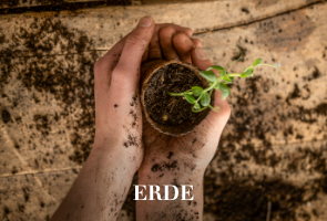 Erden