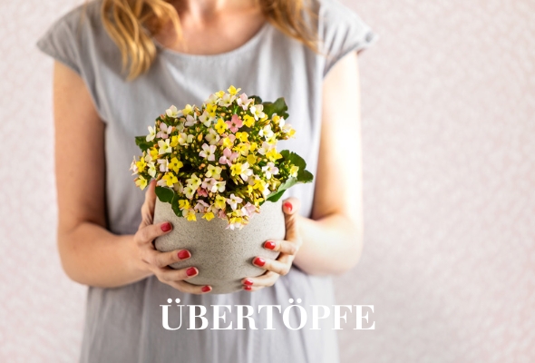 Übertöpfe und Pflanzgefässe