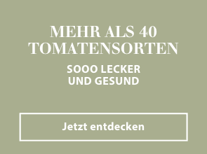 Tomatenpflanzen