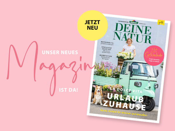Das neue Magazin ist da! 