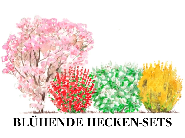 Blühende Heckensets