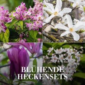 Blühende Heckensets