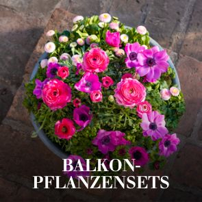 Balkonpflanzen-Sets