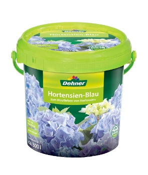 Dehner Hortensien-Blau