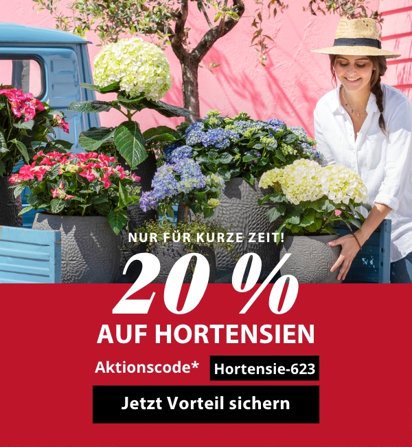20 % auf Hortensien mit Aktionscode Hortensie-623